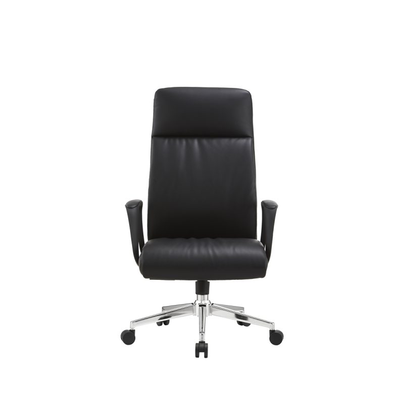 Sleek Yönetici Koltuğu